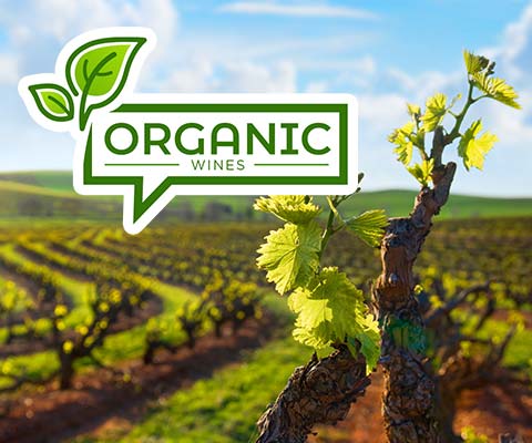 Organic Wines | WineMadeEasy.com
