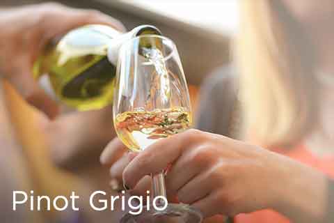 Pinot Grigio (Pinot Gris)